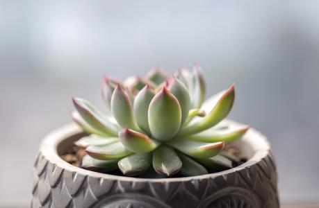 ҹȨͳһǼ202111ʵʩ