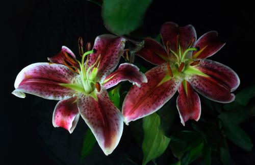 ֱΪʯҵ 㶫Ļᡰ˷硱ת